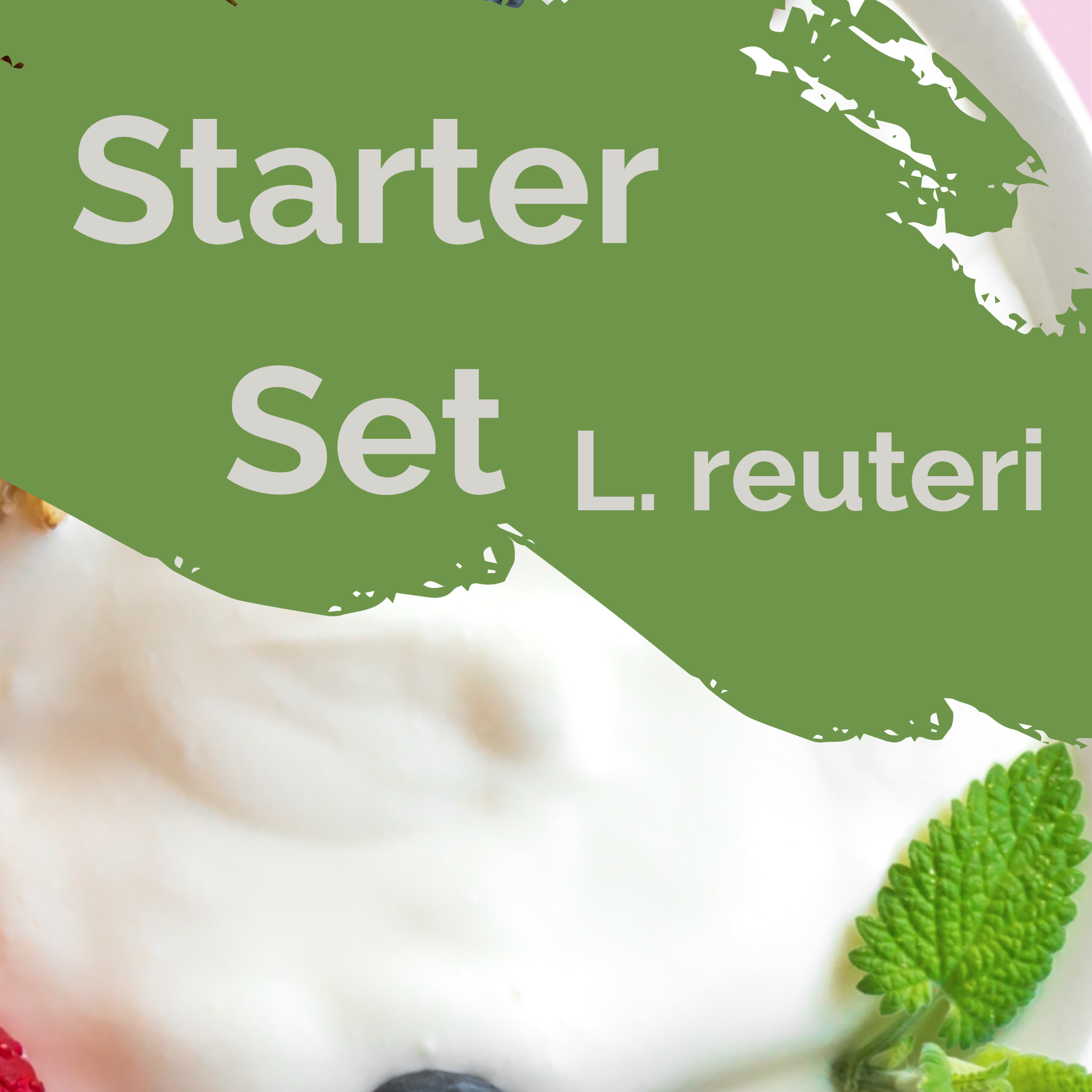 L. reuteri | Set de inicio para yogur | Cultivos iniciadores | Paquete de 3