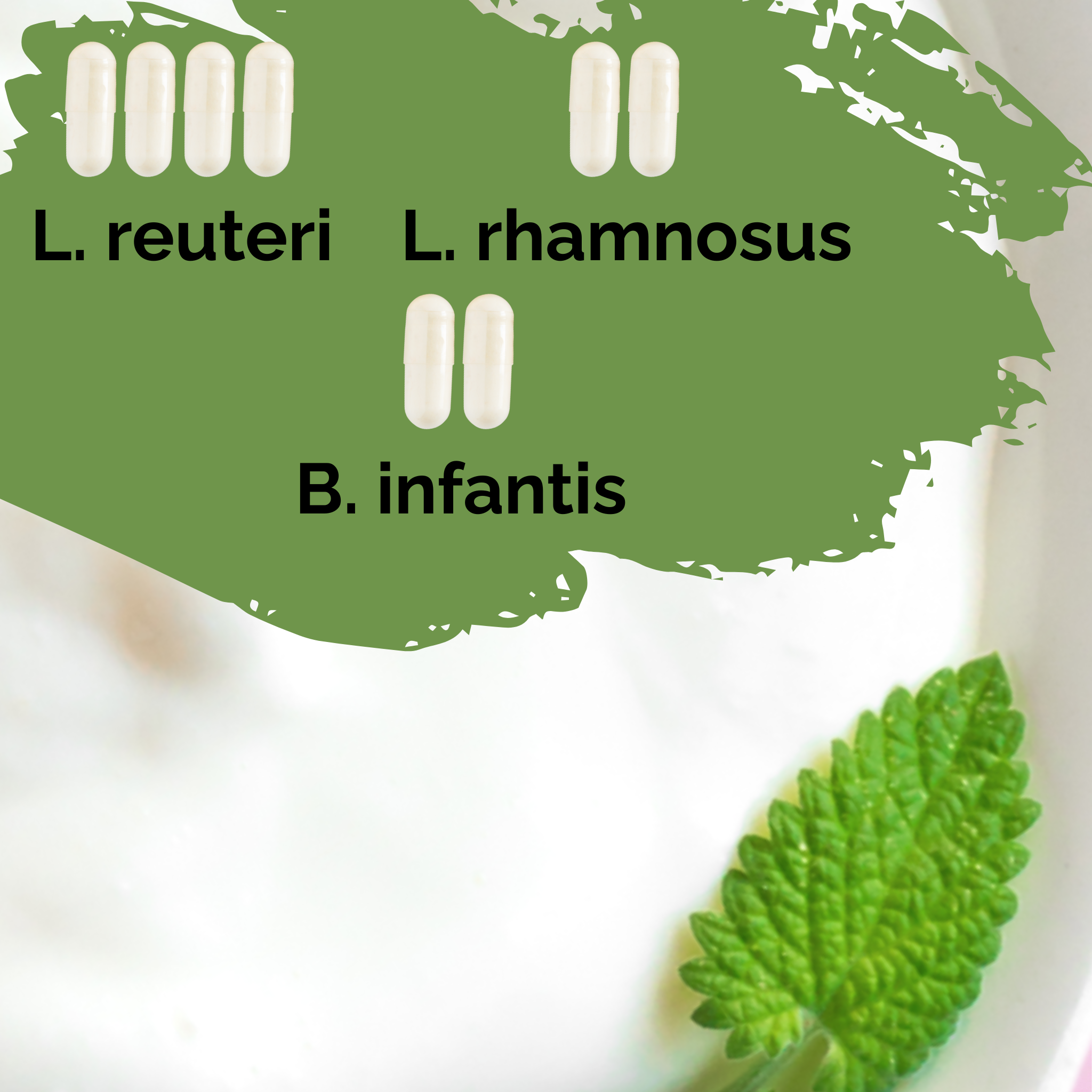 L. reuteri + L. rhamnosus + B. infantis | Juego de inicio para yogur | HappyGut | Cultivos iniciadores | Paquete de 3